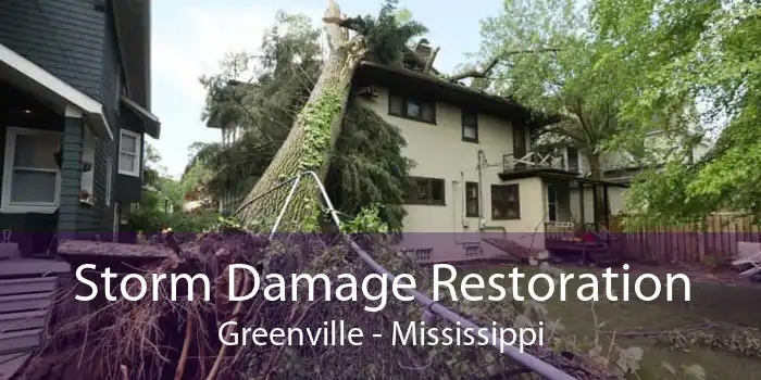 Storm Damage Restoration Greenville - Mississippi