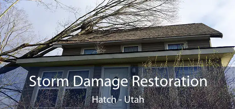 Storm Damage Restoration Hatch - Utah