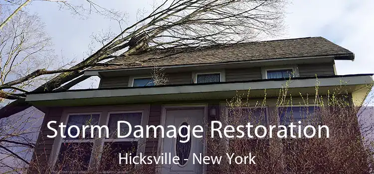 Storm Damage Restoration Hicksville - New York