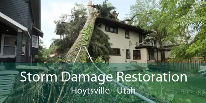 Storm Damage Restoration Hoytsville - Utah
