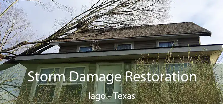 Storm Damage Restoration Iago - Texas