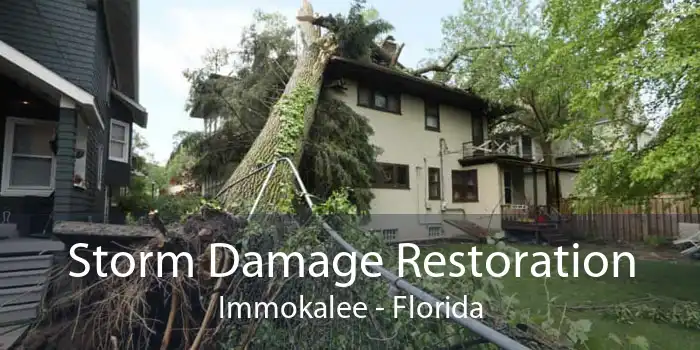 Storm Damage Restoration Immokalee - Florida