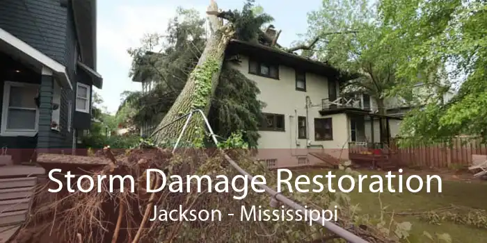 Storm Damage Restoration Jackson - Mississippi