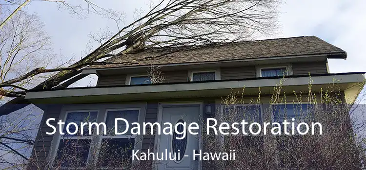 Storm Damage Restoration Kahului - Hawaii