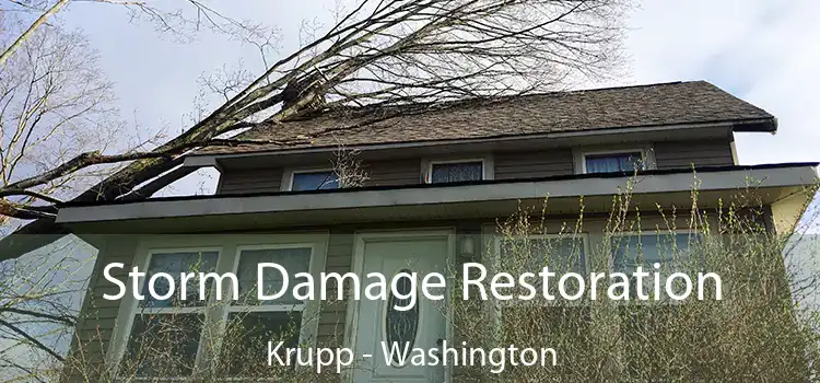 Storm Damage Restoration Krupp - Washington