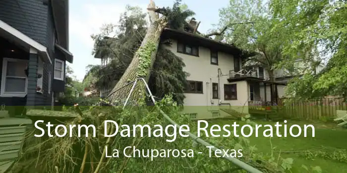 Storm Damage Restoration La Chuparosa - Texas