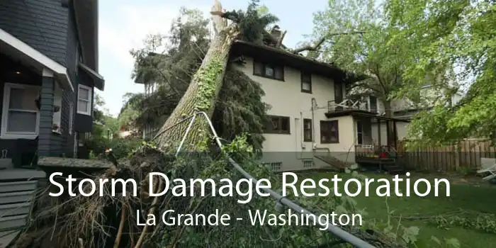 Storm Damage Restoration La Grande - Washington