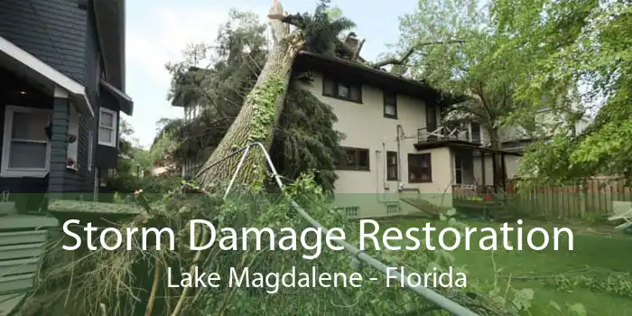 Storm Damage Restoration Lake Magdalene - Florida