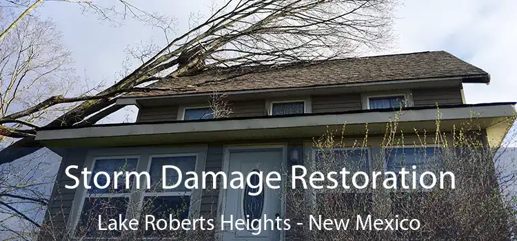 Storm Damage Restoration Lake Roberts Heights - New Mexico