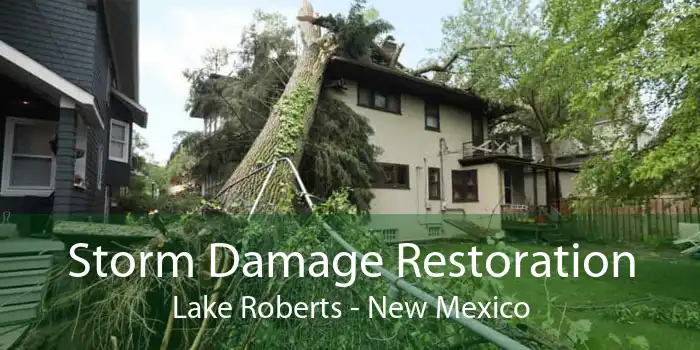 Storm Damage Restoration Lake Roberts - New Mexico