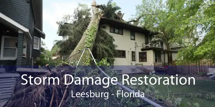 Storm Damage Restoration Leesburg - Florida