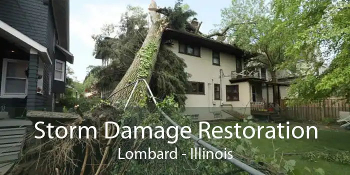Storm Damage Restoration Lombard - Illinois