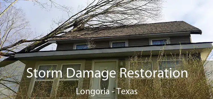 Storm Damage Restoration Longoria - Texas