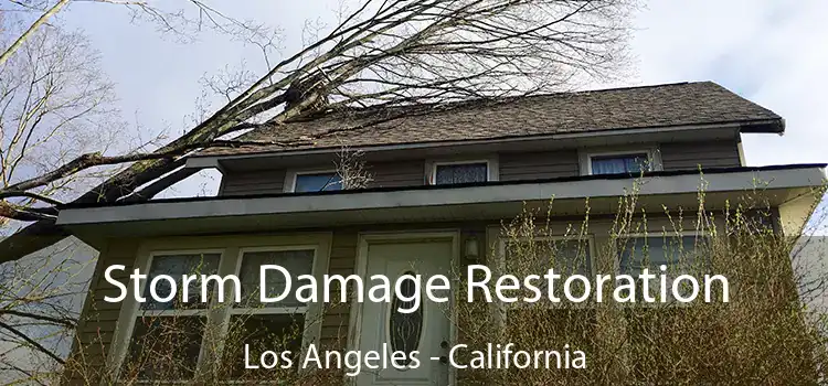 Storm Damage Restoration Los Angeles - California