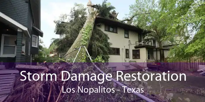 Storm Damage Restoration Los Nopalitos - Texas