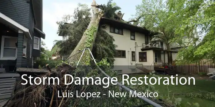 Storm Damage Restoration Luis Lopez - New Mexico