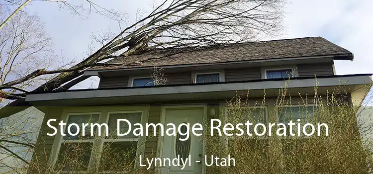 Storm Damage Restoration Lynndyl - Utah