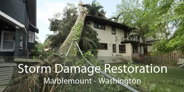 Storm Damage Restoration Marblemount - Washington