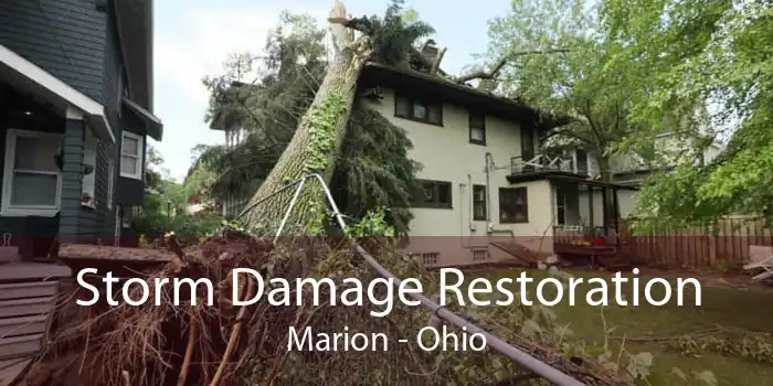 Storm Damage Restoration Marion - Ohio
