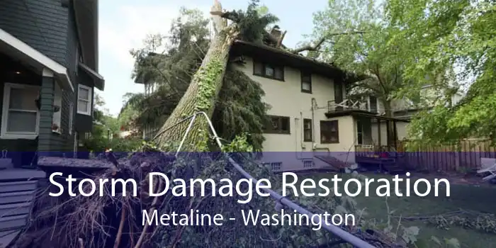 Storm Damage Restoration Metaline - Washington