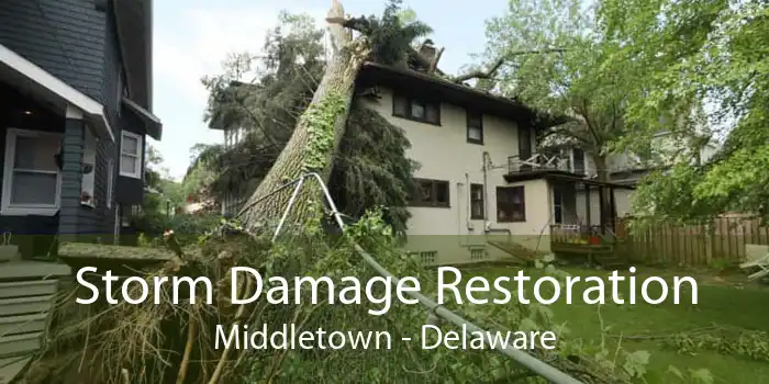 Storm Damage Restoration Middletown - Delaware