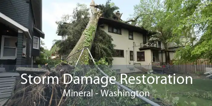 Storm Damage Restoration Mineral - Washington
