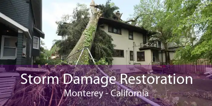 Storm Damage Restoration Monterey - California