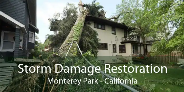 Storm Damage Restoration Monterey Park - California