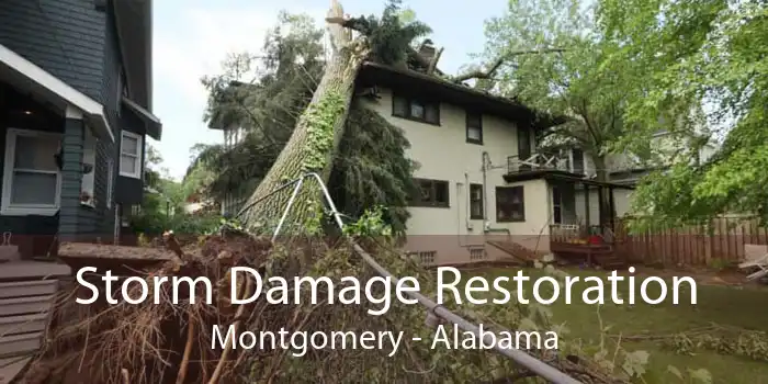 Storm Damage Restoration Montgomery - Alabama