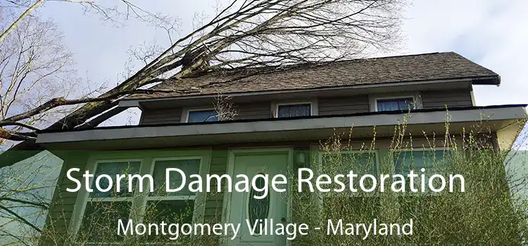 Storm Damage Restoration Montgomery Village - Maryland