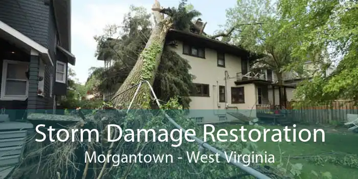 Storm Damage Restoration Morgantown - West Virginia