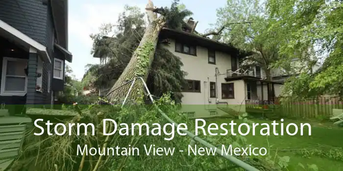 Storm Damage Restoration Mountain View - New Mexico