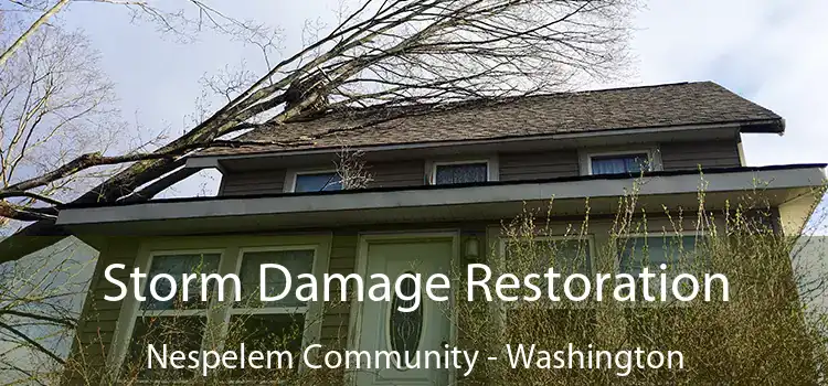 Storm Damage Restoration Nespelem Community - Washington