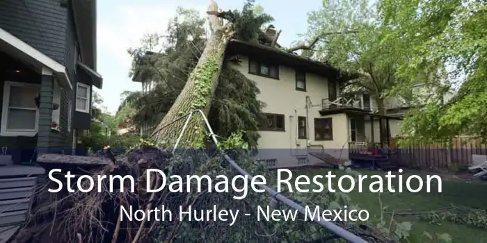 Storm Damage Restoration North Hurley - New Mexico