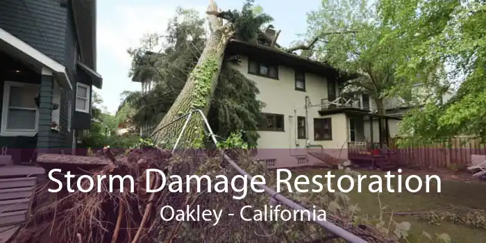 Storm Damage Restoration Oakley - California