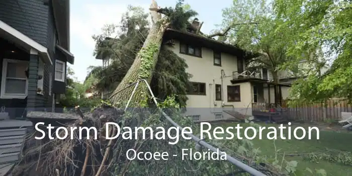Storm Damage Restoration Ocoee - Florida