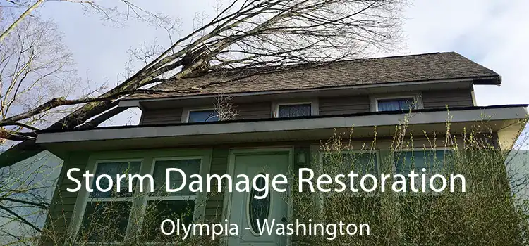 Storm Damage Restoration Olympia - Washington