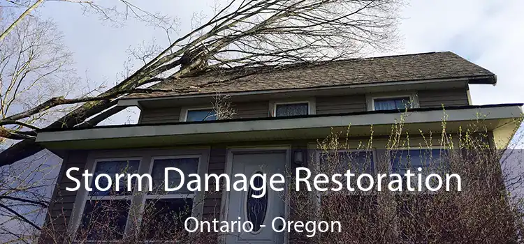 Storm Damage Restoration Ontario - Oregon