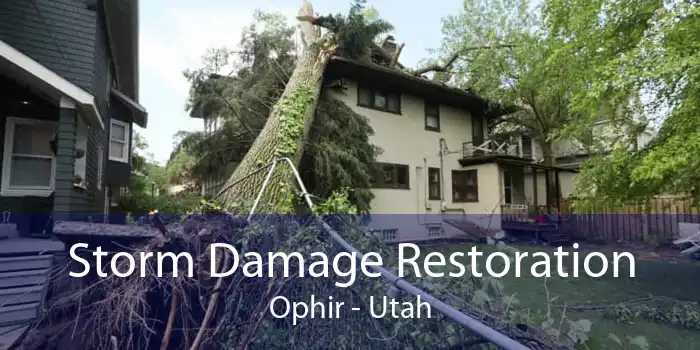 Storm Damage Restoration Ophir - Utah