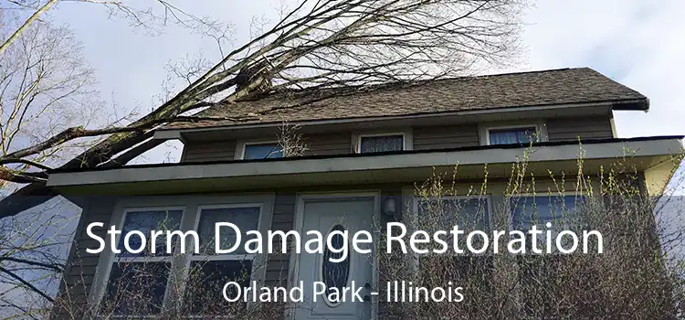 Storm Damage Restoration Orland Park - Illinois