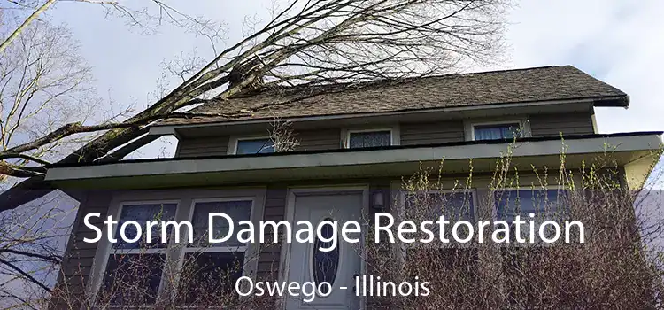 Storm Damage Restoration Oswego - Illinois