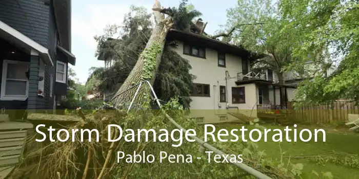 Storm Damage Restoration Pablo Pena - Texas