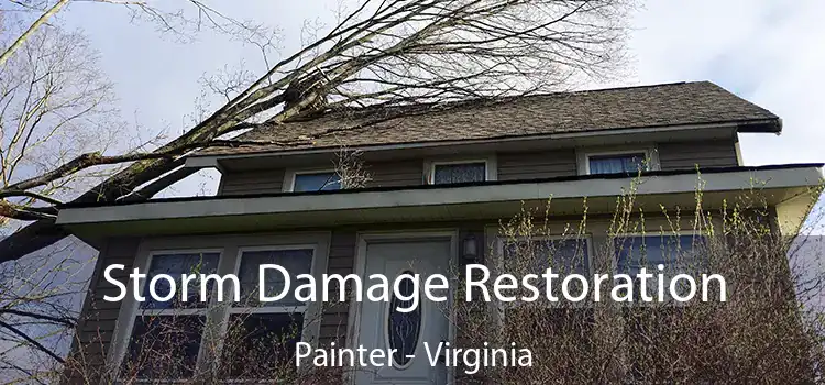 Storm Damage Restoration Painter - Virginia