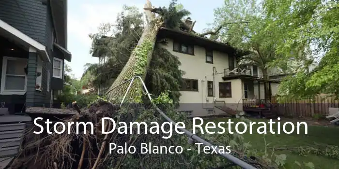 Storm Damage Restoration Palo Blanco - Texas