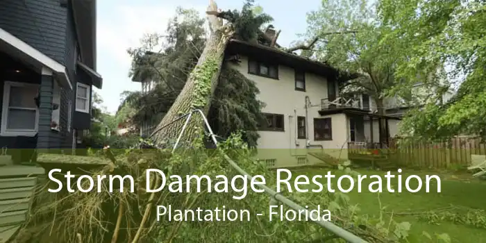 Storm Damage Restoration Plantation - Florida