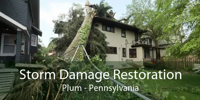 Storm Damage Restoration Plum - Pennsylvania
