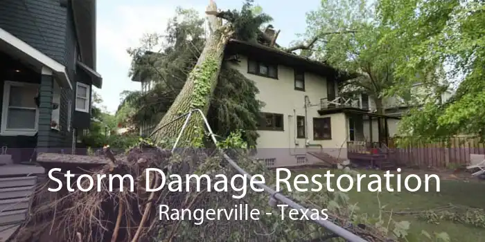 Storm Damage Restoration Rangerville - Texas