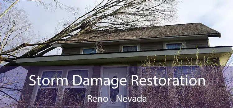 Storm Damage Restoration Reno - Nevada