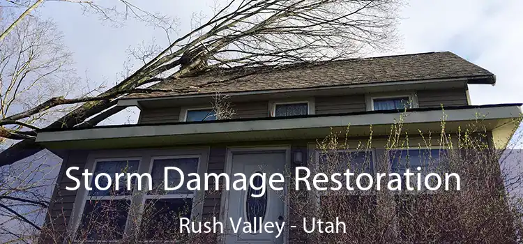 Storm Damage Restoration Rush Valley - Utah