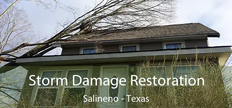 Storm Damage Restoration Salineno - Texas